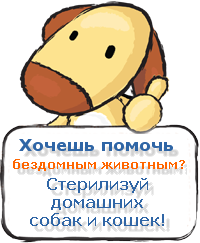 Правда и вымысел о стерилизации