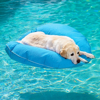 Плавательный матрас для собак