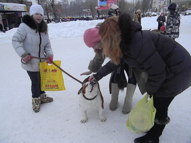 Сбор помощи животным в Сыктывкаре