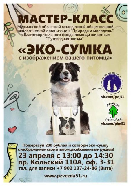 Помощь бездомным животным в Мурманске