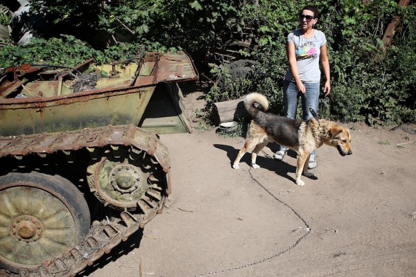 Приют для бездомных животных в Калининграде