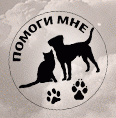Помощь животным в Томске
