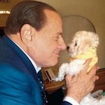 Берлускони помогает бездомным животным
