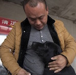 Китайский миллионер помогает бездомным собакам