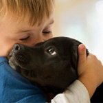 Связь домашних животных и детей