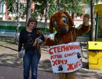 Помощь животным в Новосибирске