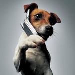 Телефон для собаки