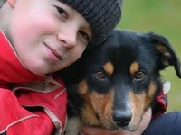 Помощь бездомным животным в Челябинске