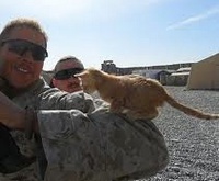Кошка на военной базе