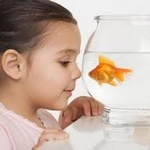 Ребенок и аквариумные рыбки