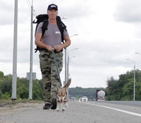 Помощь бездомным животным в Воронеже