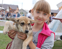 Помощь бездомным животным в Новосибирске