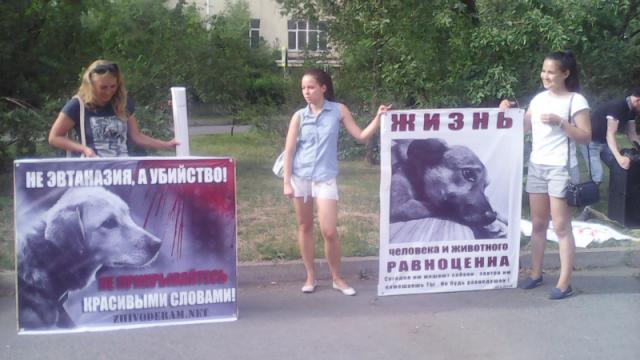 Зоозащитный митинг в Красноярске