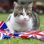 Кот на службе Великобритании